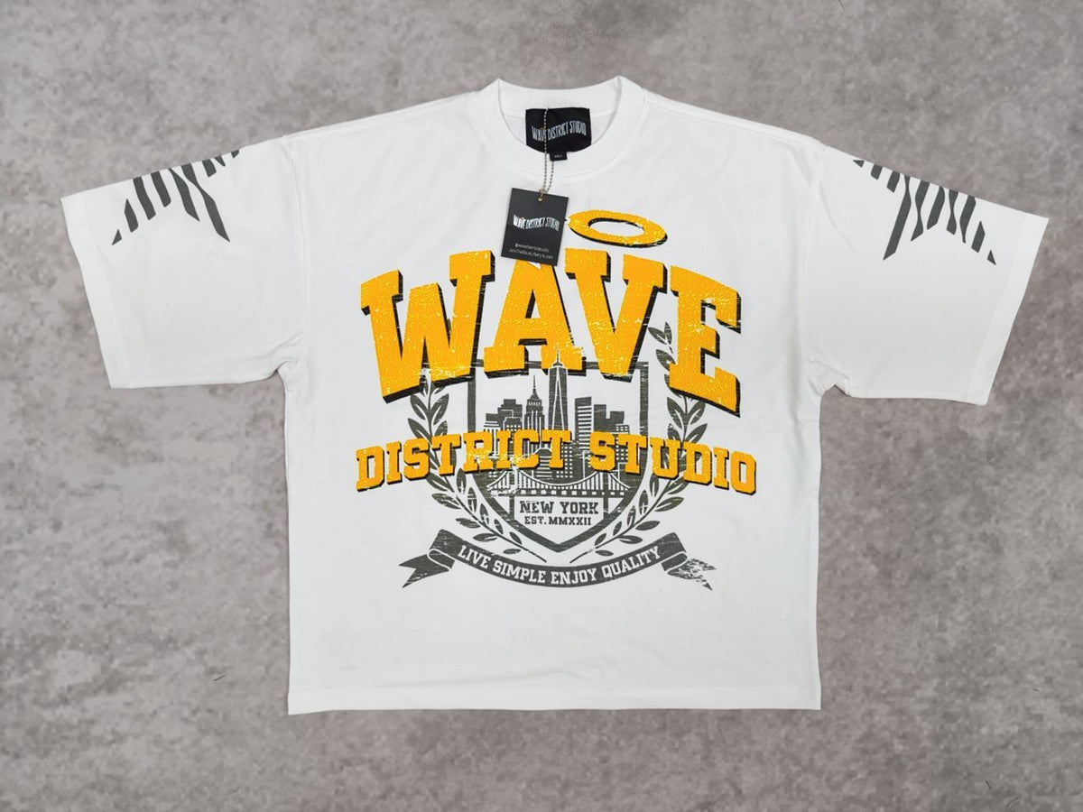 WDS UNIVERSITY (WINTER WHITE) OVERSIZED TEE